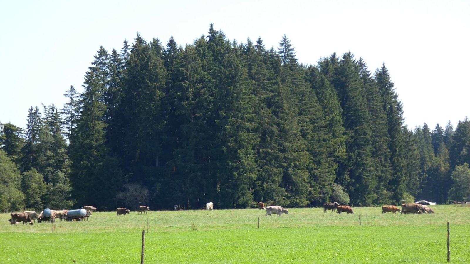 Ferienwohnung Nr 5, Lechbruck-Gruendl, Allgaeu Prem 외부 사진